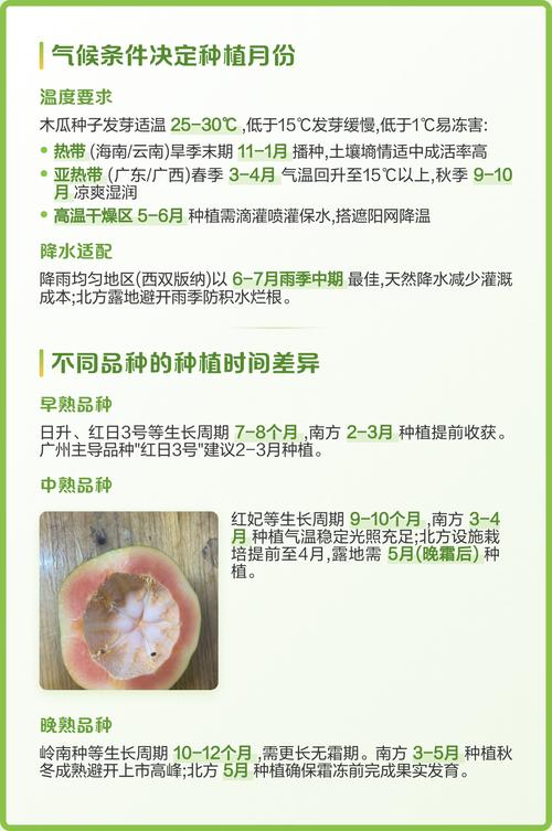 木瓜什么季节成熟?全年种植与收获时间指南 木瓜种植常见错误