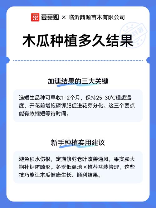 木瓜什么季节成熟?全年种植与收获时间指南 常见问题解答 (FAQ)
