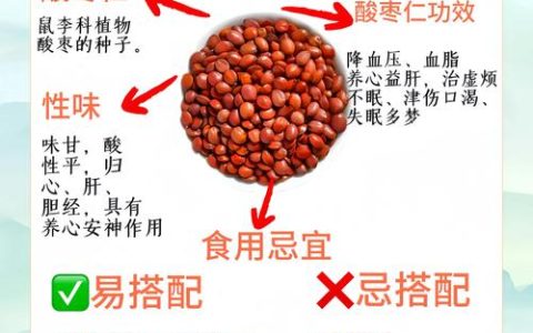 酸枣的作用和功效：安神助眠的“东方睡果”全解析