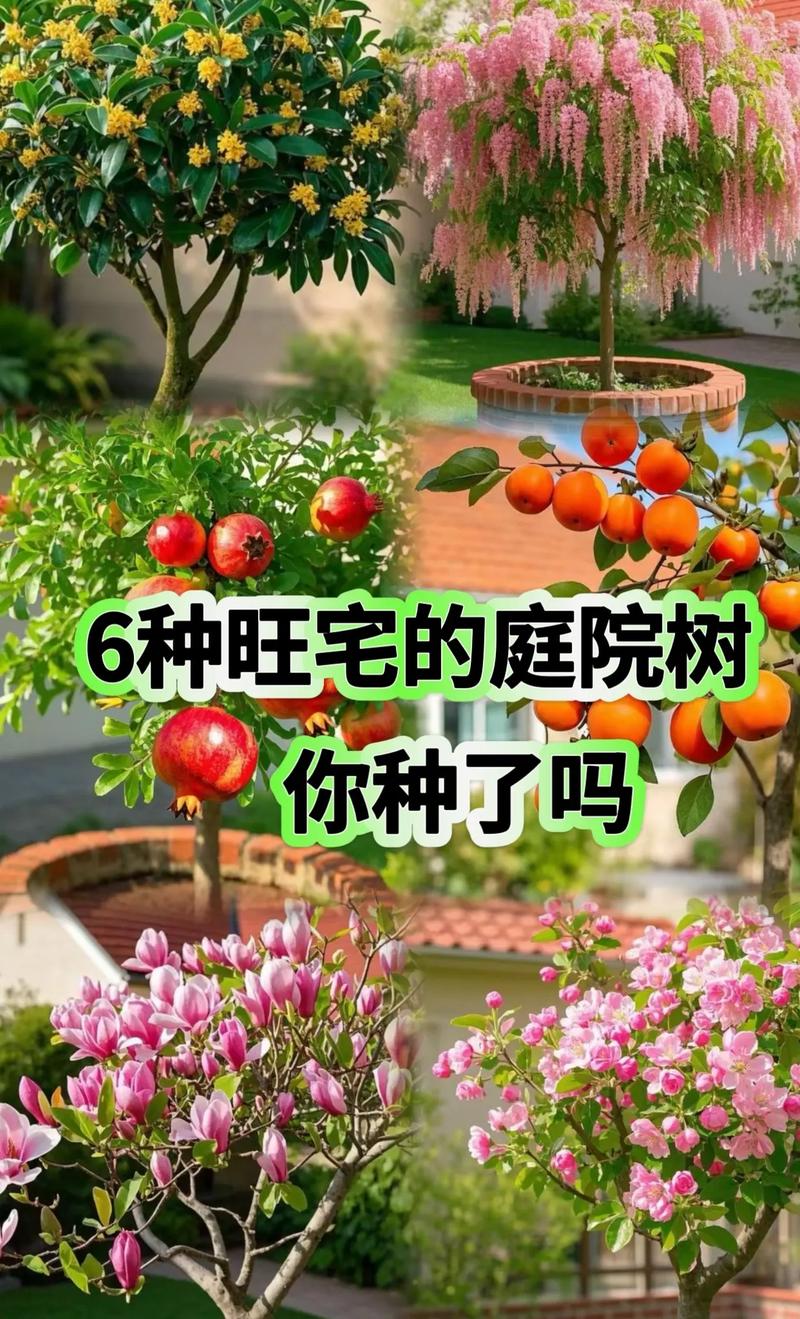 迎门种什么树?这些树种寓意好又美观,庭院大门最佳选择 迎门种树的注意事项
