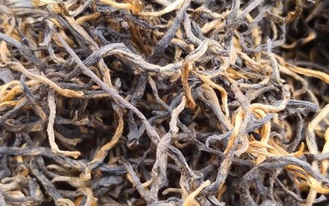 云南大叶种茶是红茶吗？揭秘其品种、工艺与地域适应性