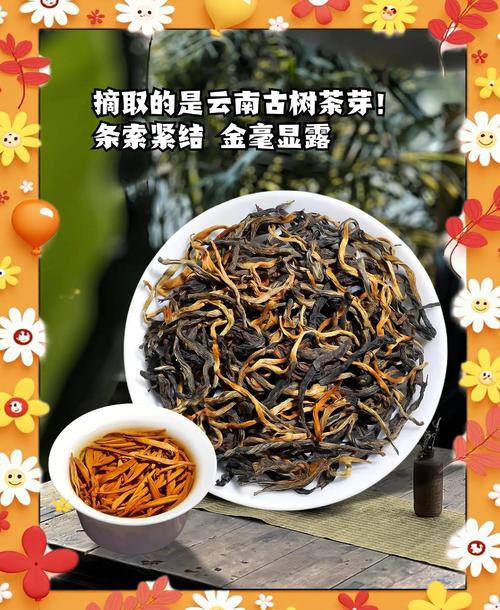 云南大叶种茶是红茶吗?揭秘其品种、工艺与地域适应性 品种筛选建议