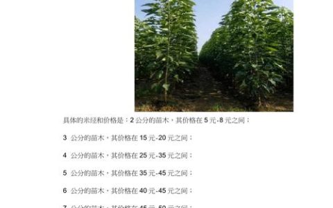 楸树5公分价格参考：2026年最新市场报价与影响因素分析