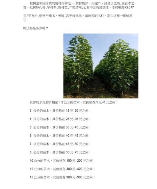 楸树5公分价格参考：2026年最新市场报价与影响因素分析