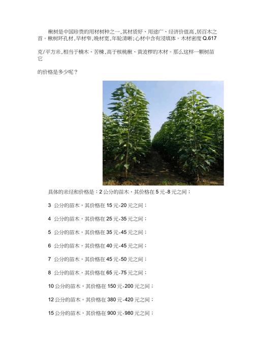 楸树5公分价格参考:2026年最新市场报价与影响因素分析 价格快速参考