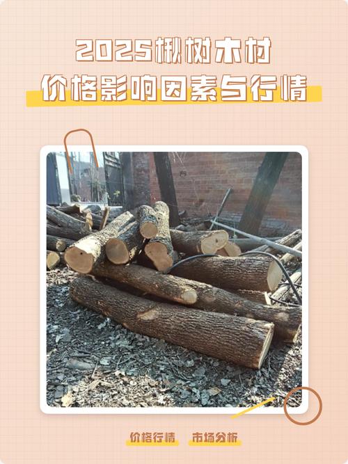楸树5公分价格参考:2026年最新市场报价与影响因素分析 数量因素:批量采购可享折扣