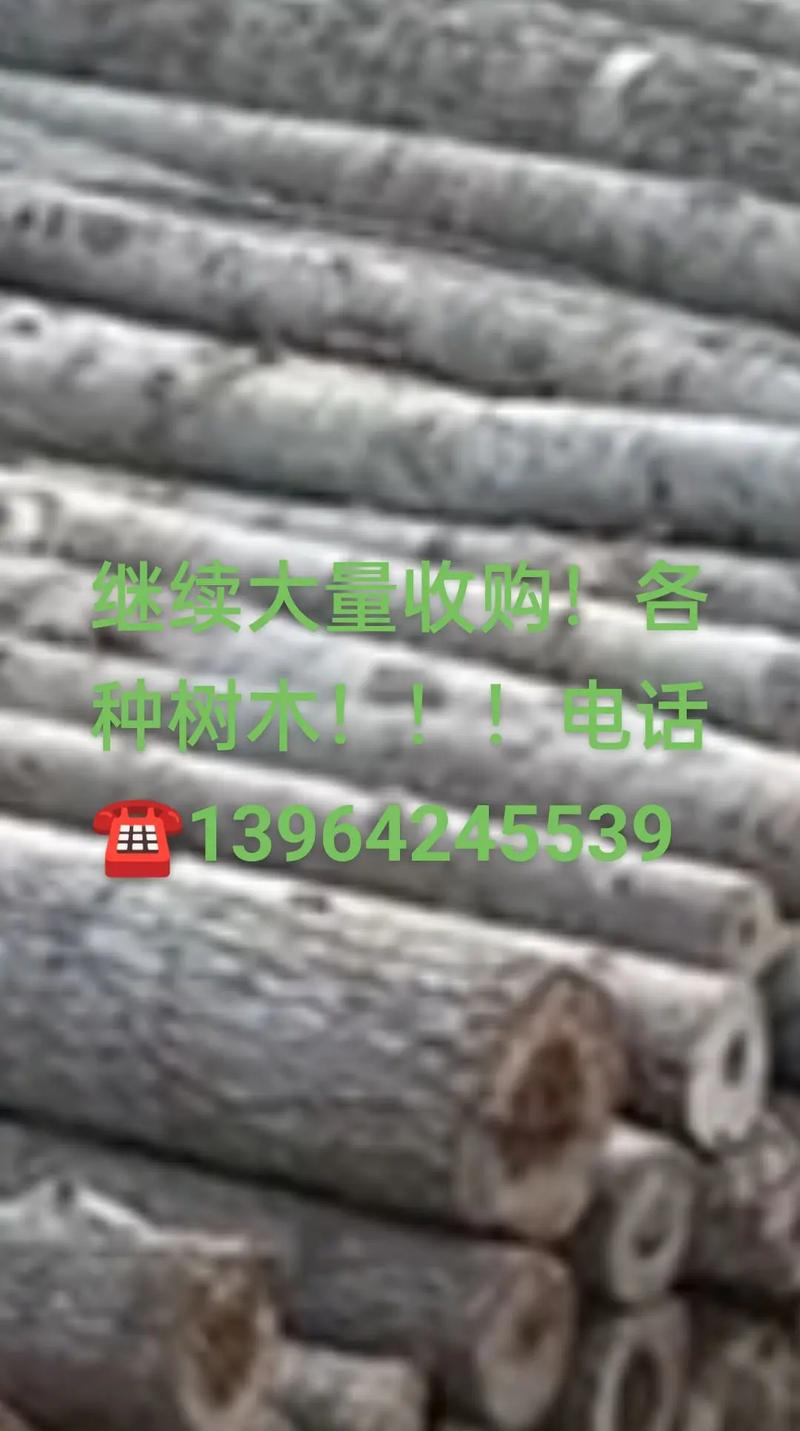 楸树5公分价格参考:2026年最新市场报价与影响因素分析 采购咨询指南