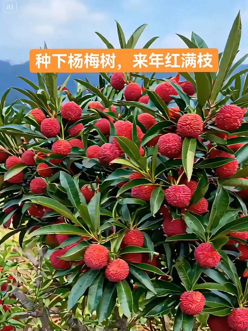 四、常见误区与解答