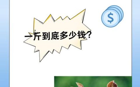 金线莲种苗多少？规格选择与用量规划指南