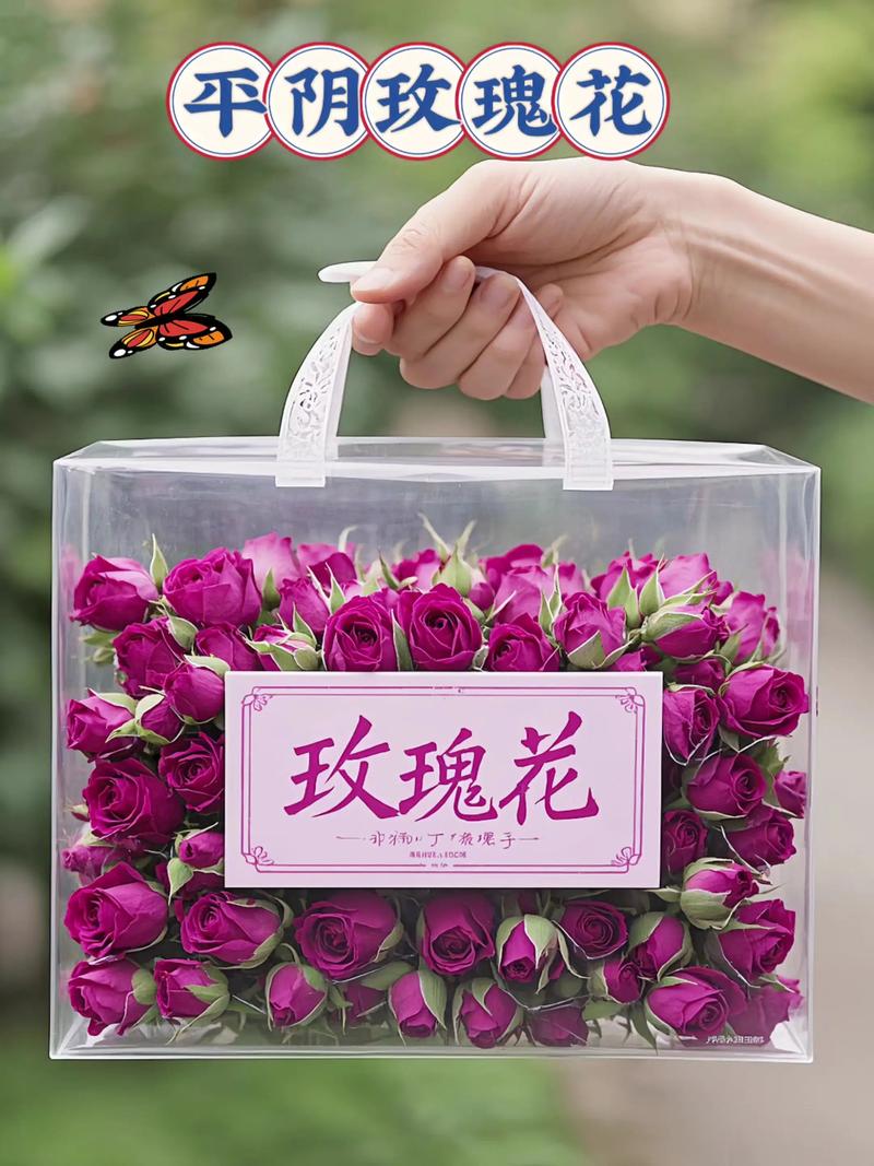 品种基础档案：平阴玫瑰