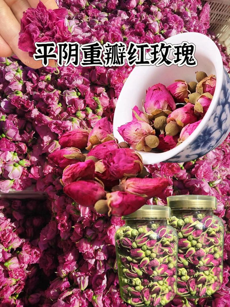 盆栽/地栽选择决策