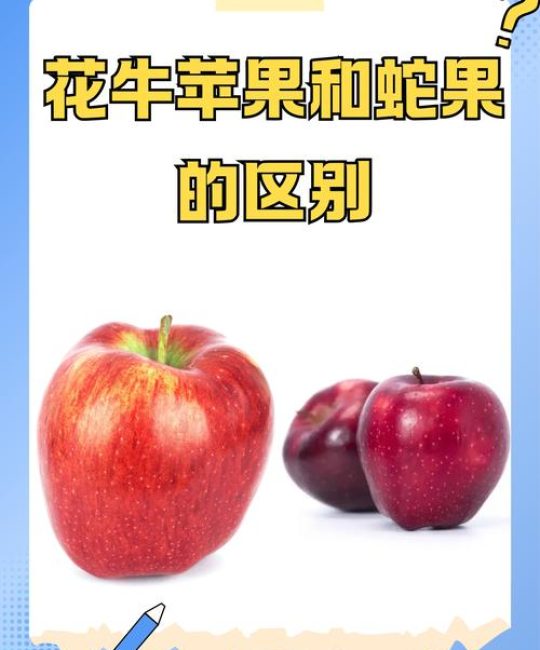 蛇果苹果和花牛苹果的区别