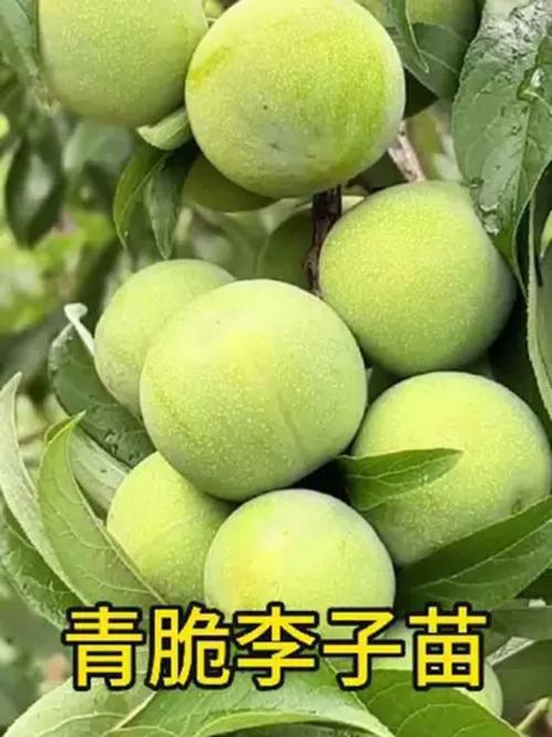 规格：决定价格的核心因素