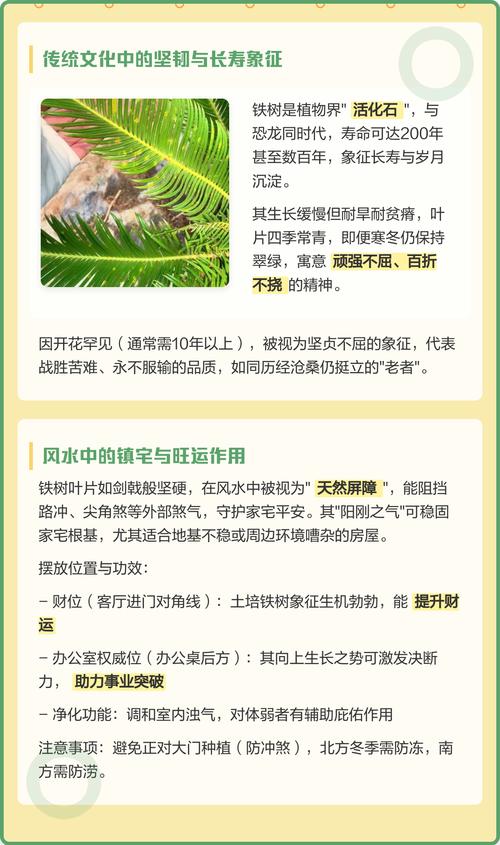 二、门前种铁树的具体讲究