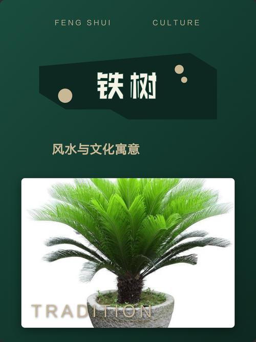 结语