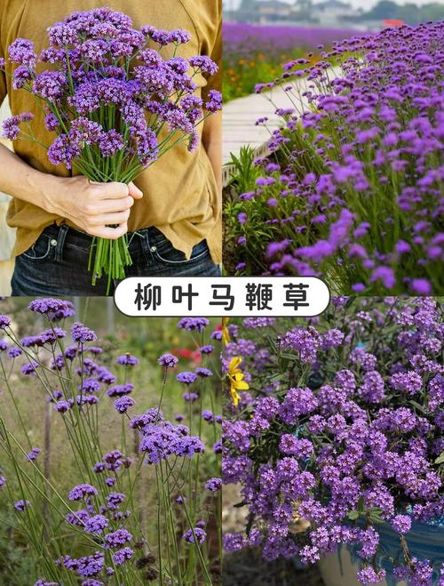 二、土壤环境