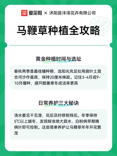 七、成活注意事项