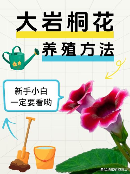 大岩桐花后怎么处理?花后养护全攻略 第六步:留种与异常处理
