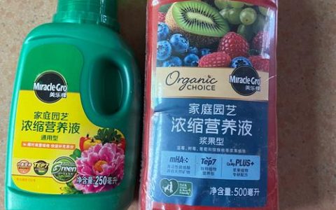 果树苗施肥指南：科学选择肥料让果树苗壮结果早