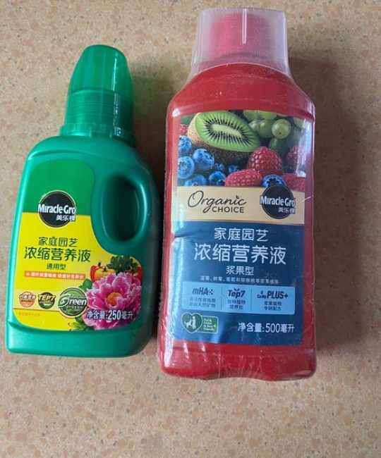 果树苗施肥指南：科学选择肥料让果树苗壮结果早