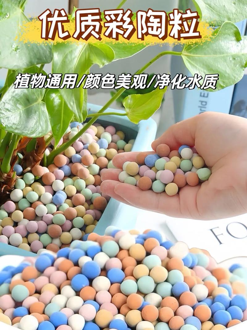 水培植物为什么要放陶粒:一篇讲清作用、方法和误区 十、总结
