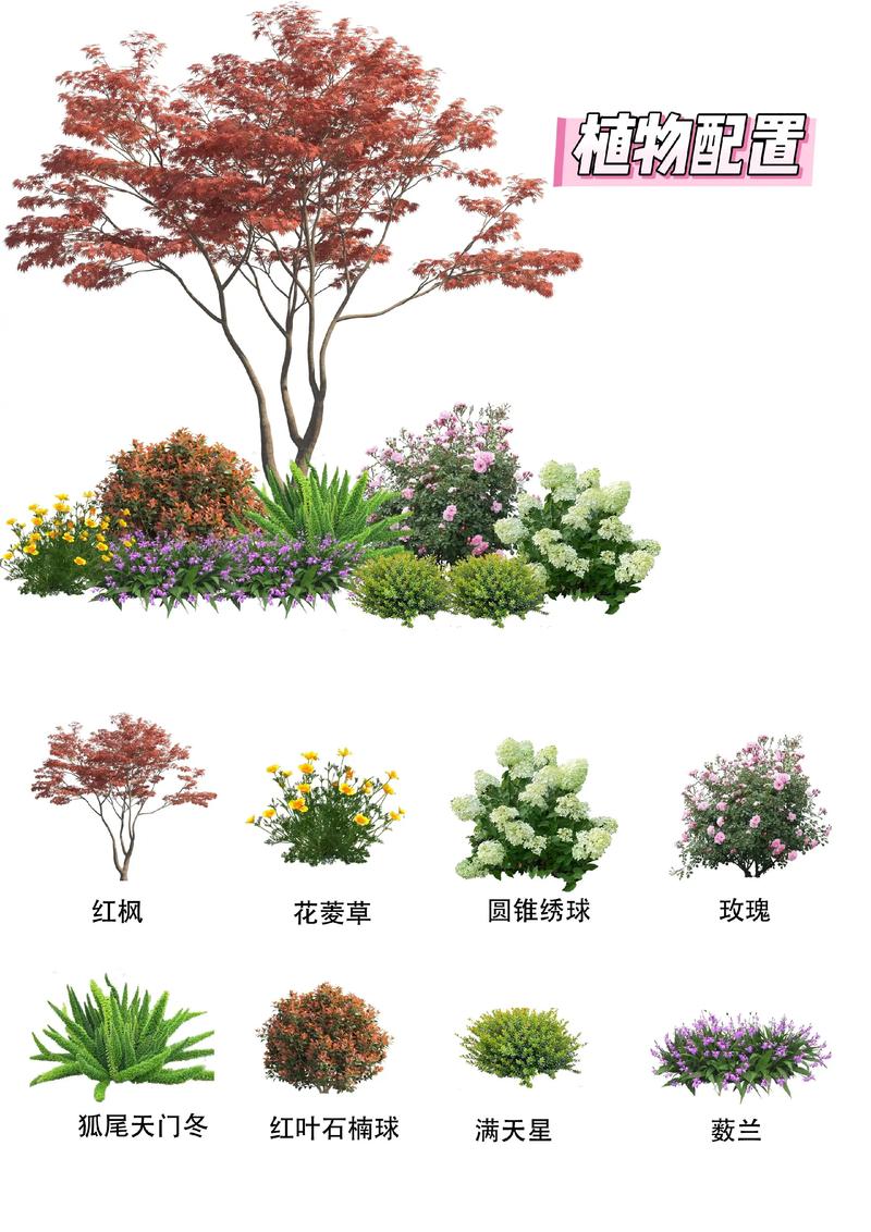 庭院中最适合种什么树?精选推荐与栽培指南 选树提醒