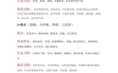 乔木大树移栽与养护全攻略（树形·遮荫·行道树·庭院）