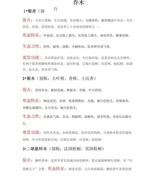 乔木大树移栽与养护全攻略（树形·遮荫·行道树·庭院）