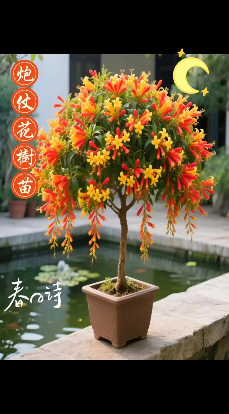 一、推荐品种与生长习性