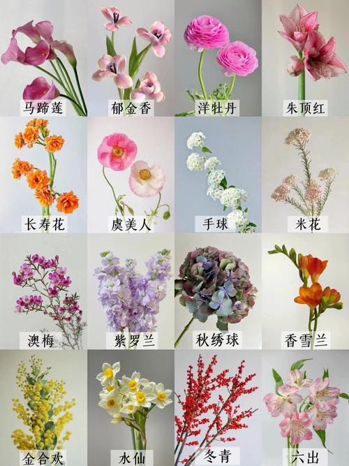 二、南北种植差异化建议