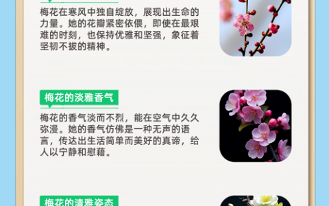 喜欢梅花因为什么？——这朵寒冬里的花，藏着无数人心动的理由