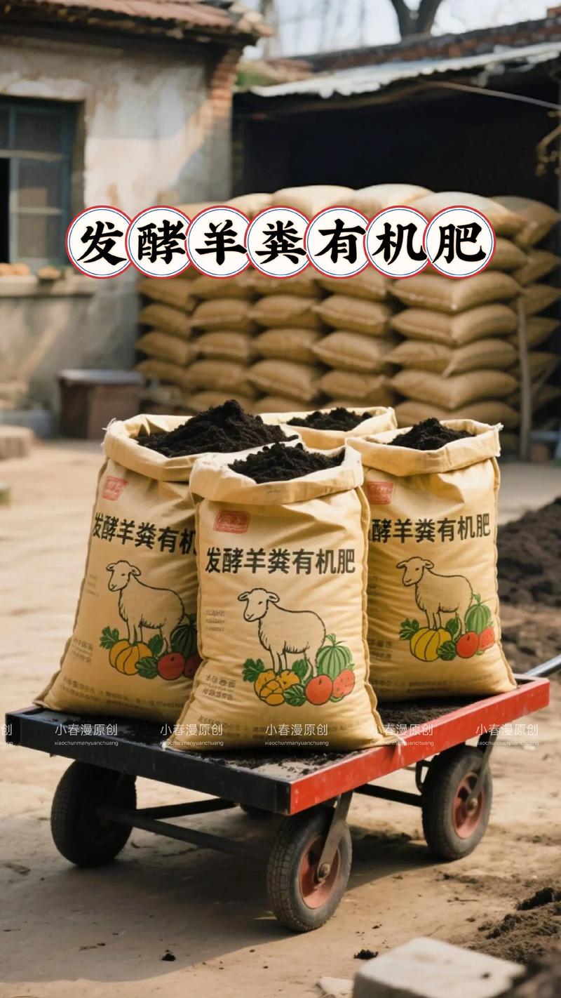 种白菜用羊粪好吗?老菜农的实话与科学用法 为什么说羊粪适合白菜?