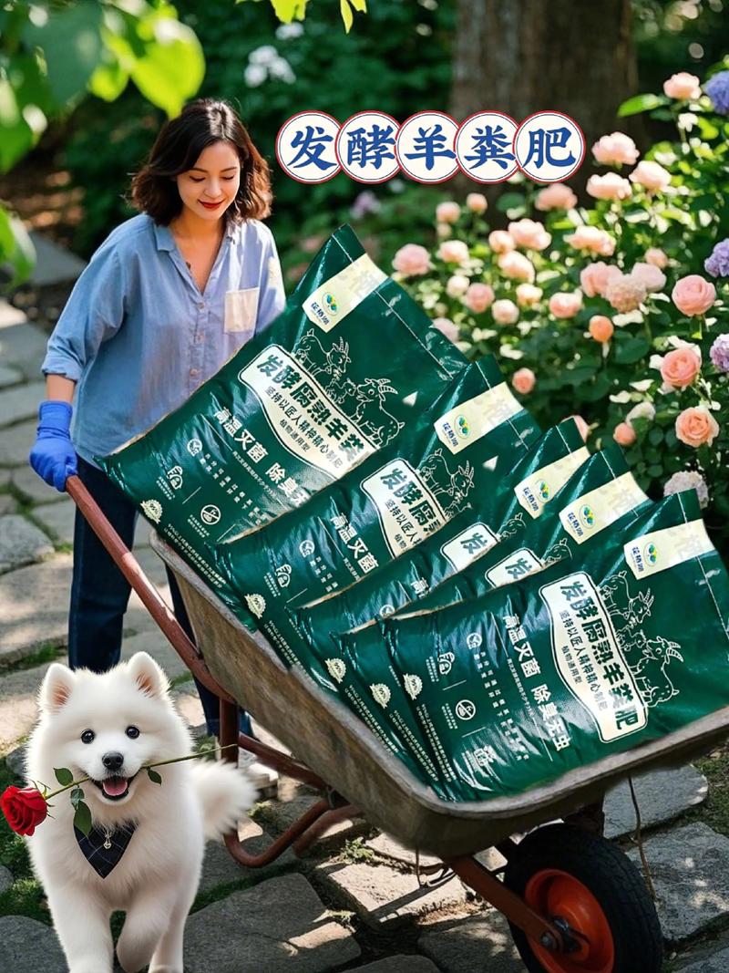 种白菜用羊粪好吗?老菜农的实话与科学用法 最大的坑:生羊粪不能直接用