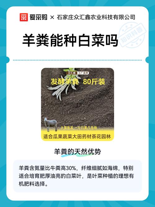 种白菜用羊粪好吗?老菜农的实话与科学用法 总结