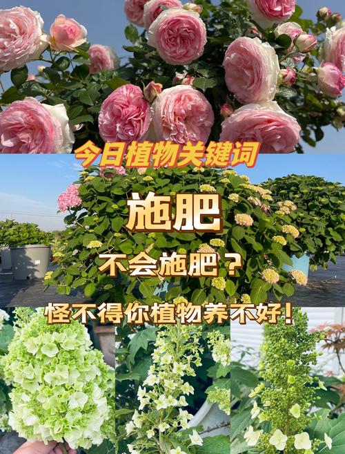 三、新手避坑指南