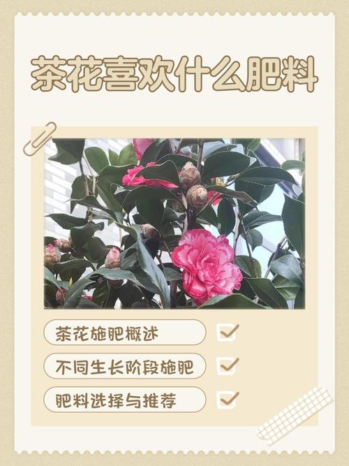 总结