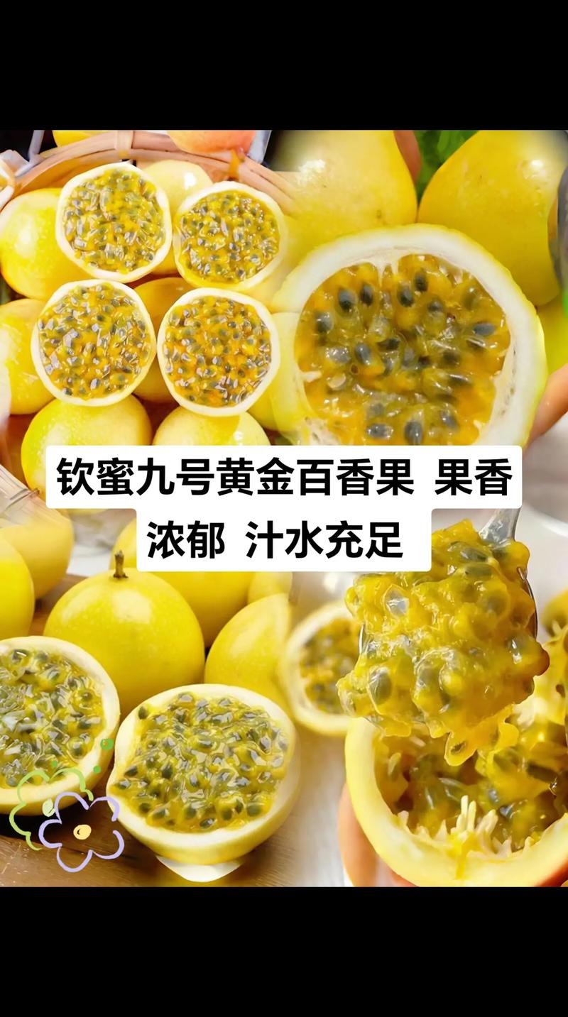 购买数量