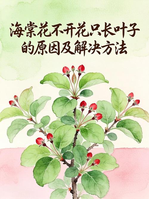 海棠只长叶子不开花?4步排查与补救指南 分步排查清单