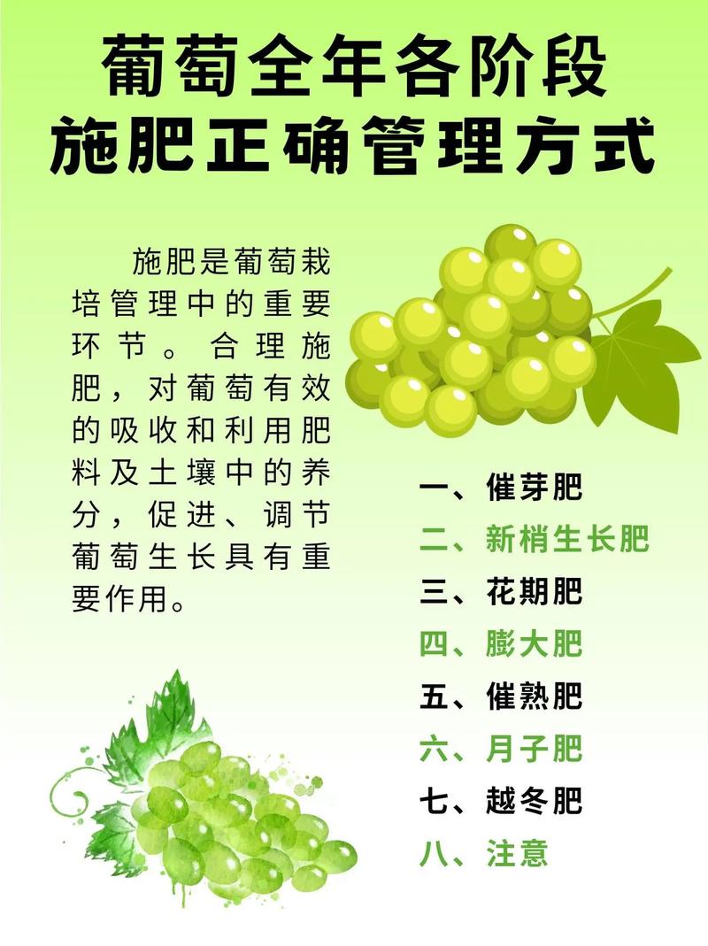 葡萄树施肥的核心原则是“因树制宜、看物候期分阶段补给” 五、总结验证