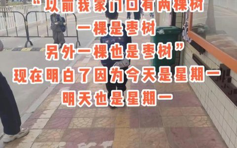 一棵是枣树 另一颗还是枣树的含义：枣树品种选择、种植与苗木选购全指南