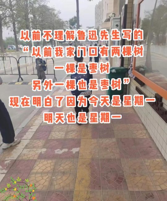 一棵是枣树 另一颗还是枣树的含义：枣树品种选择、种植与苗木选购全指南