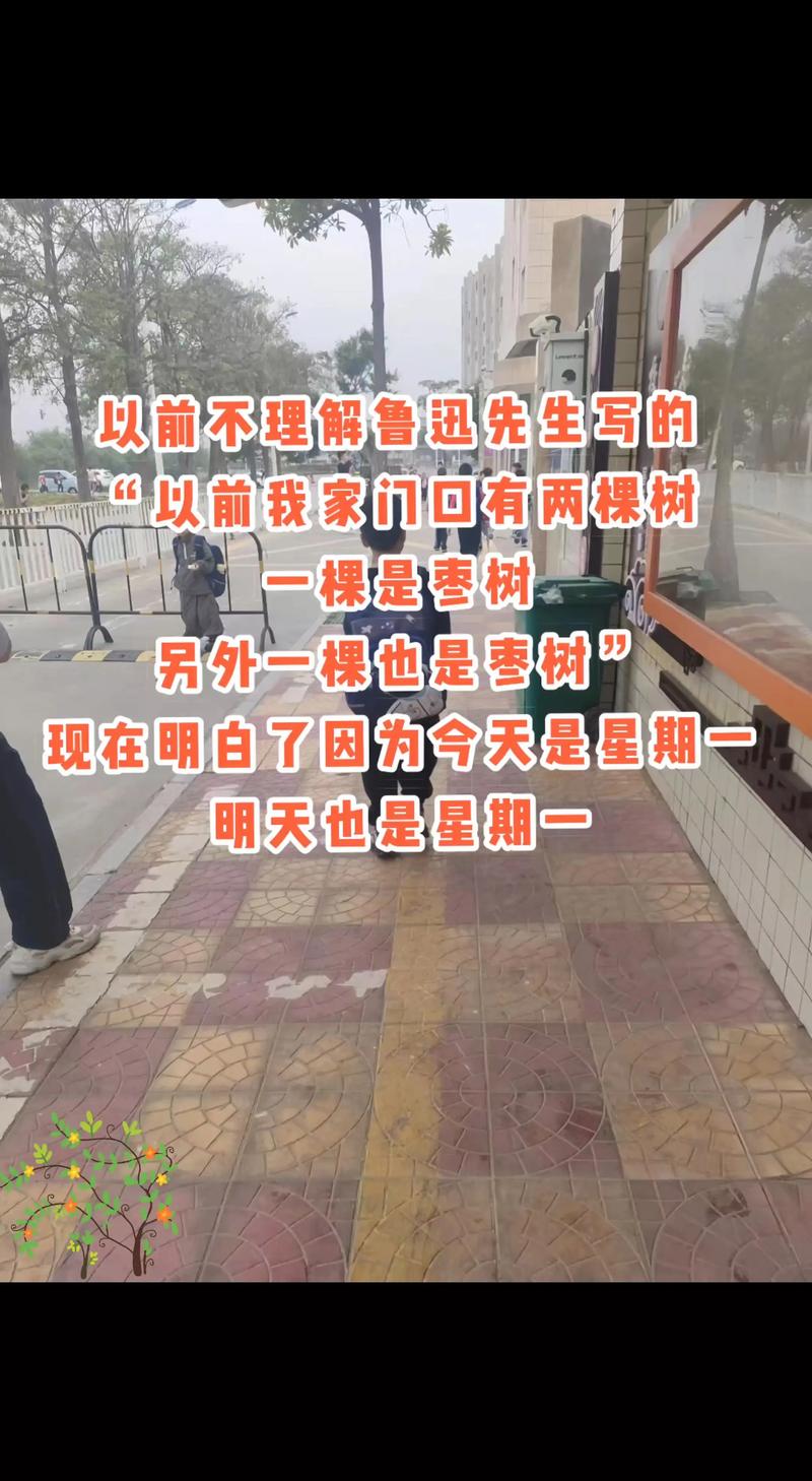 一棵是枣树 另一颗还是枣树的含义:枣树品种选择、种植与苗木选购全指南 一棵是枣树 另一颗还是枣树的含义:枣树品种选择、种植与苗木选购全指南