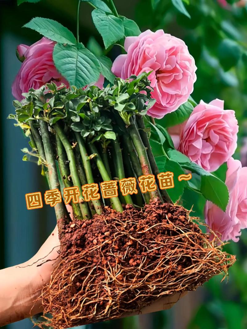 总结