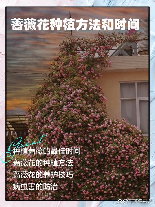 常见误区与纠正