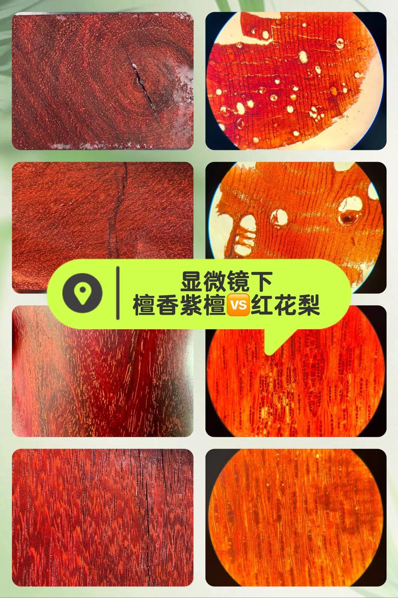 缅甸花梨木 vs 大果紫檀:哪个更值得入手?6大维度深度对比 二、场景化选择建议