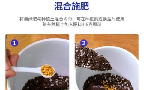 盆栽复合肥怎么使用正确？