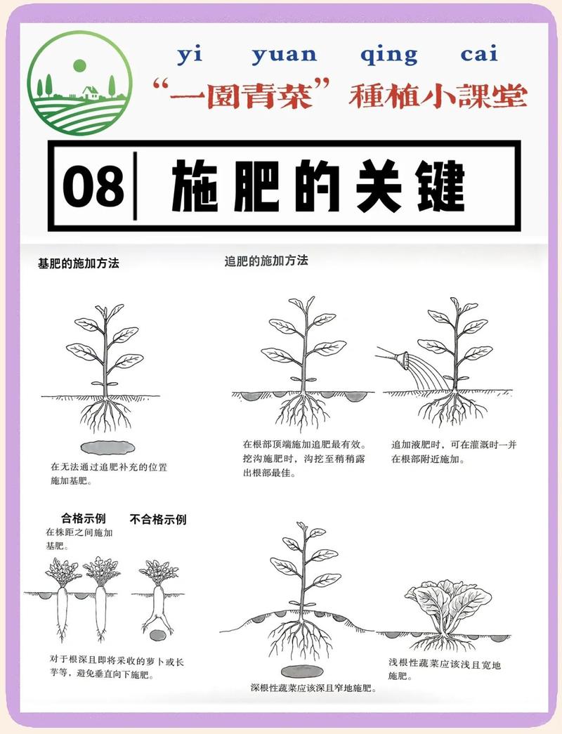 盆栽复合肥怎么使用正确? 结语
