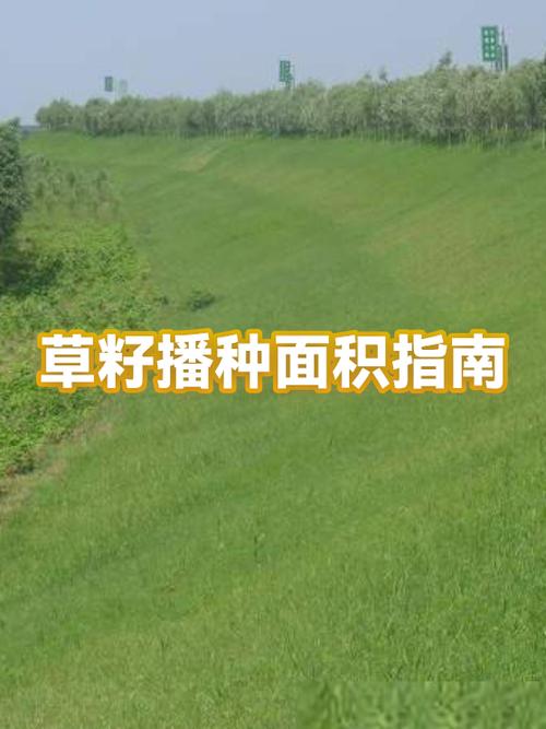 混播草籽一斤能种多少平米?播种量计算与实用指南 混播草籽播种常见错误与纠正