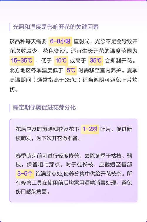 三角梅开花时间表及全年养护全攻略 三角梅不开花或不结果常见原因