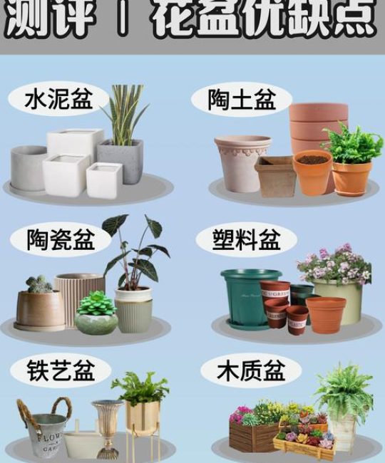 寻找附近花店与盆栽的实用指南：从选购到养护的专业建议